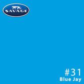 Savage Seamless Paper Photography Backdrop - Color #31 Blue Jay, Size 9 Feet Wide x 36 Feet Long, Backdrop for YouTube Videos, Streaming, Interviews and Portraits - Made in USA