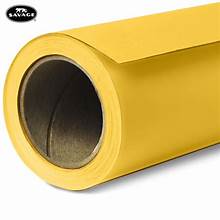 Savage Seamless Paper Photography Backdrop - Color #04 Sand, Size 9 Feet Wide x 36 Feet Long, Backdrop for YouTube Videos, Streaming, Interviews and Portraits - Made in USA